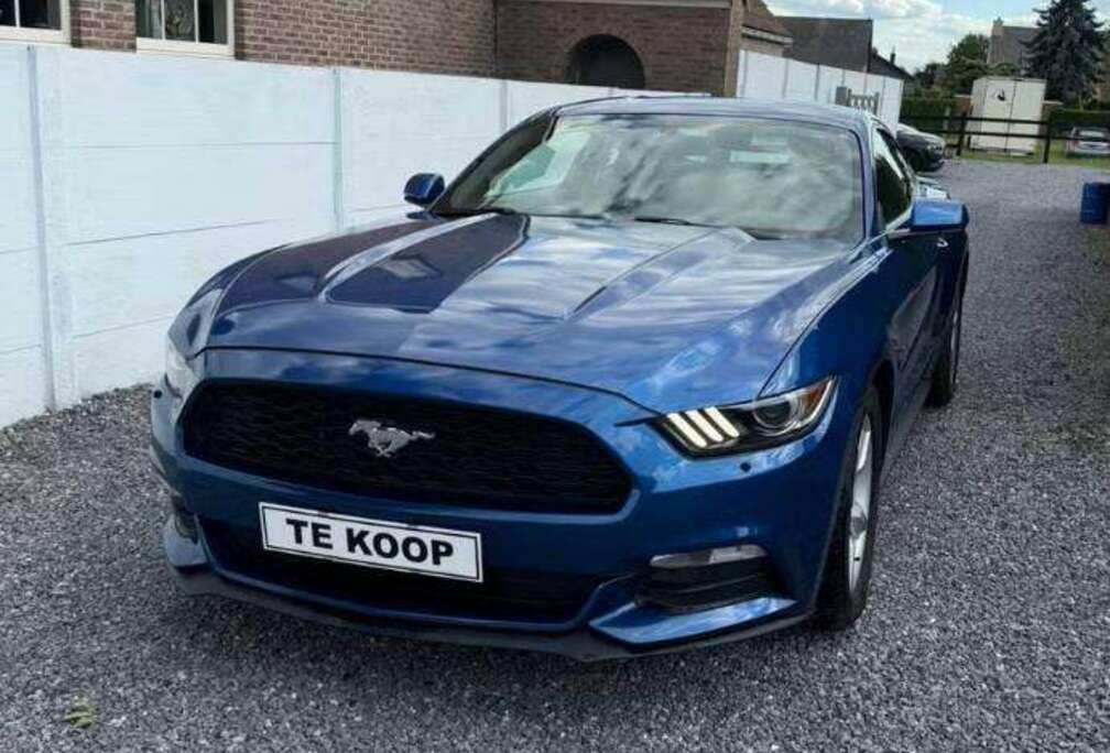 Ford Mustang 3.7 v6