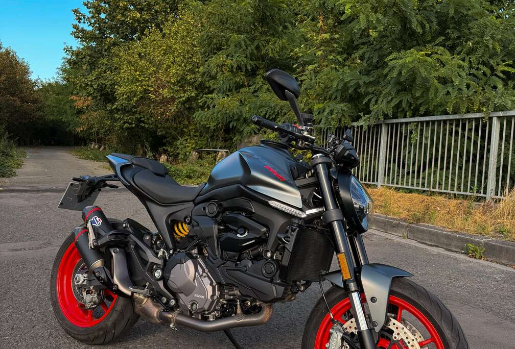 Aviator Grey - Termignoni