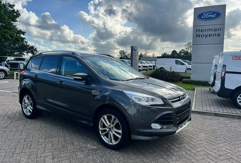 Ford Enkel voor professionele verkoop.