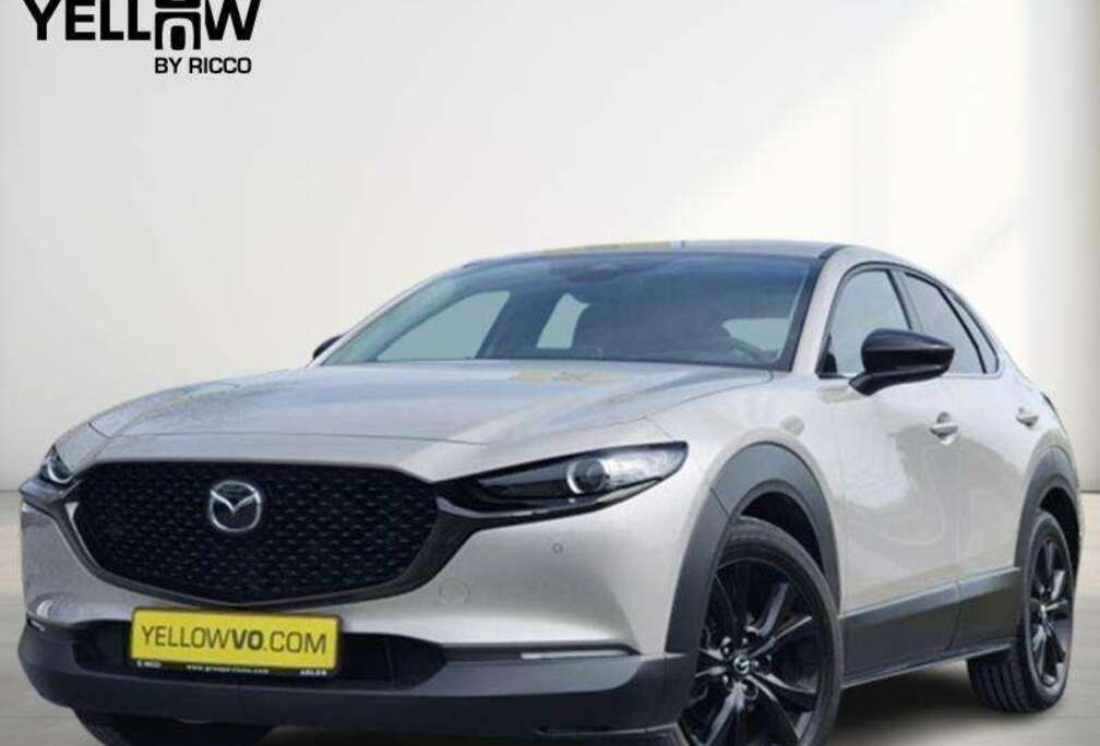 Mazda Nagisa / 2.5i SkyActiv-G MHEV