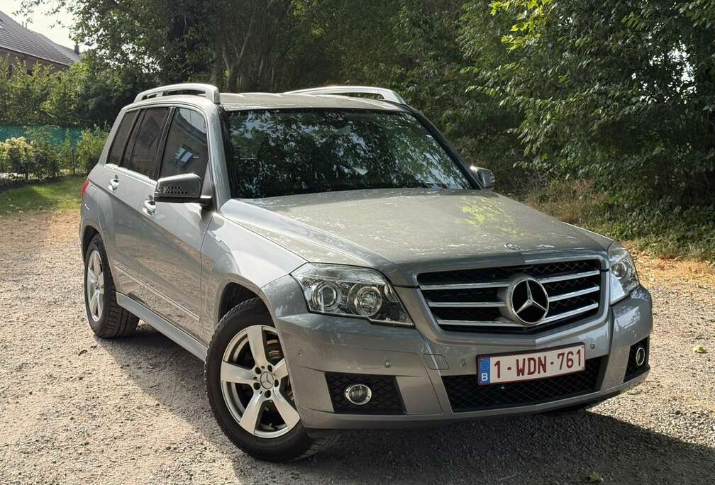 Mercedes-Benz CDI 2WD BE