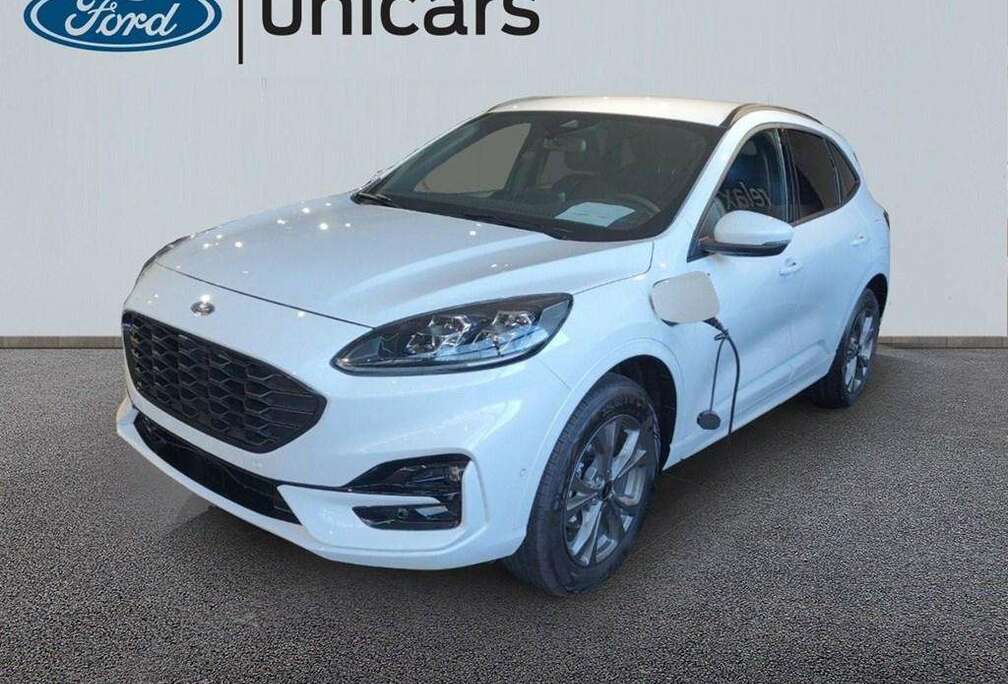 Ford ST LINE X - 2.5 PHEV 225PK - DAGINSCHRIJVING