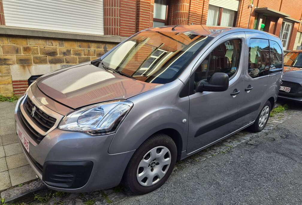 Peugeot 1.6 BlueHDi L2H1 Premium 121 S/S