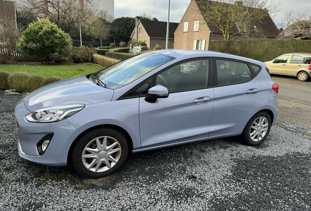 Ford Fiesta Active 1.0 EcoBoost Active (EU6d)