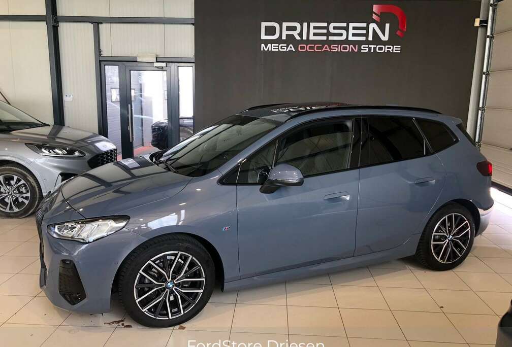 BMW BMW 220i ACTIVE TOURER   BIJ DRIESEN BREE  089/461610