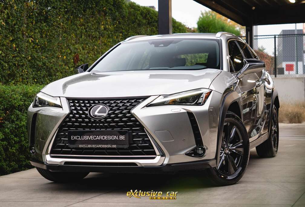 Lexus UX 250h Hybrid /Camera/Alcantara/ACC/Carplay/BiLED