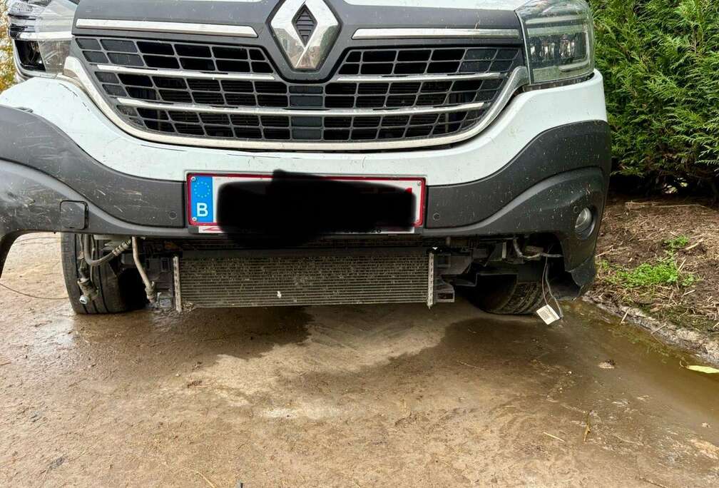 Renault 2.0 dCi 29 L2H1 Business (Fleet)