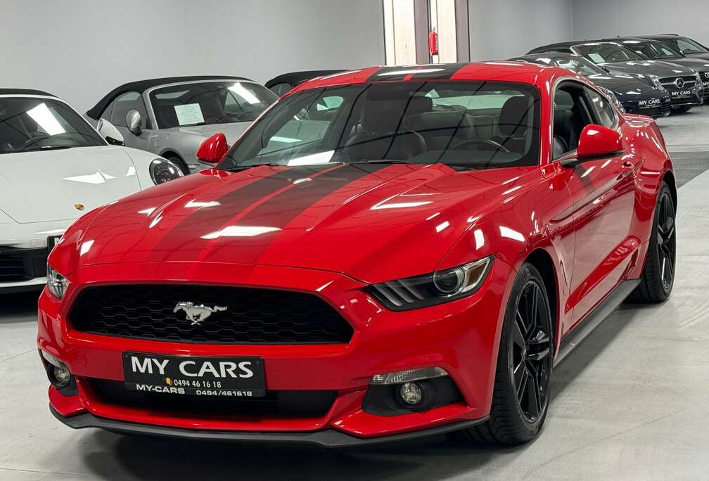 Ford 2.3 Cuir Clim Gps Camera Xenon Ja 19 Garantie 1An