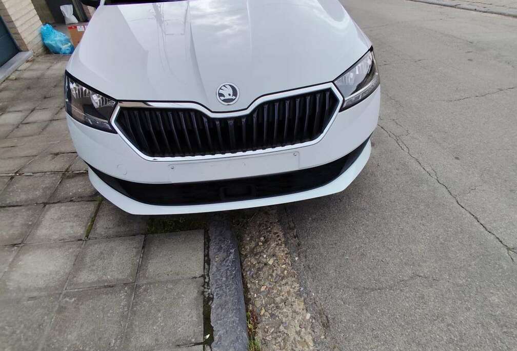 Skoda 1.0 TSI