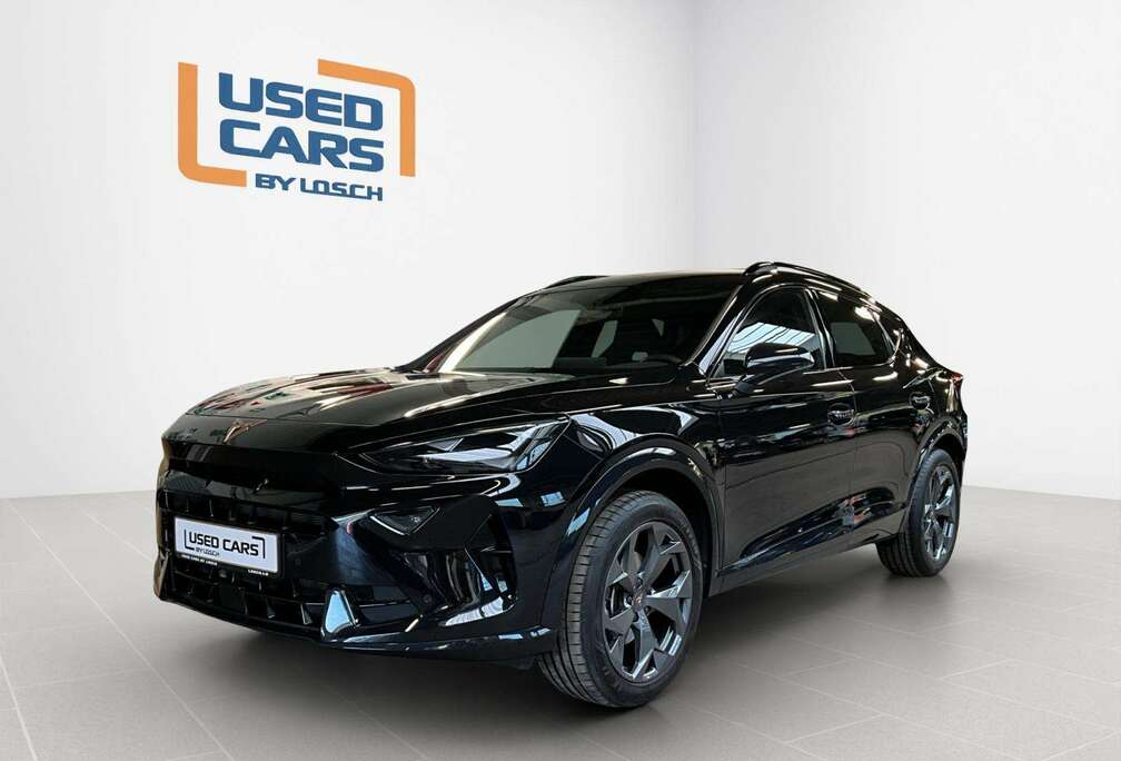 DSG+Dinamica+Pure-Perf.+RearView