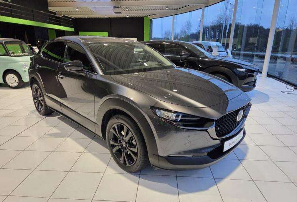 Mazda Nagisa Automaat