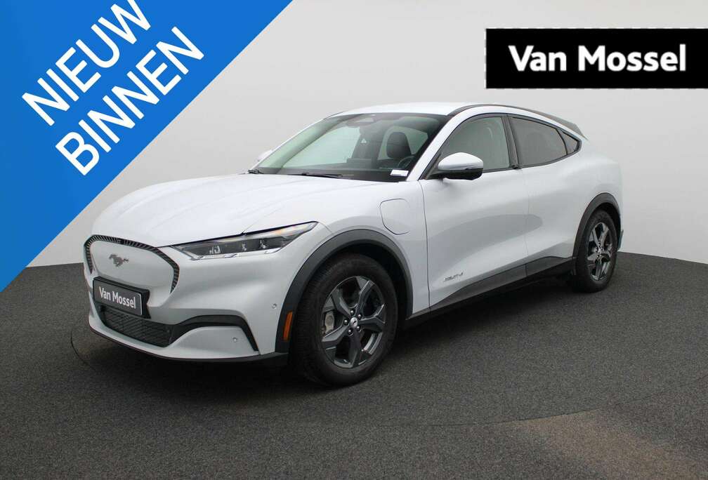 Ford RWD 75 kWh CAMERA  CARPLAY  NAVI