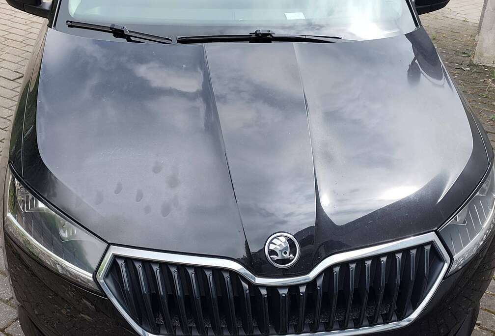 Skoda Fabia SW 1.0 TSI Ambition