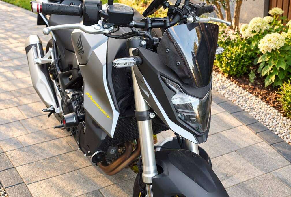 Honda Hornet