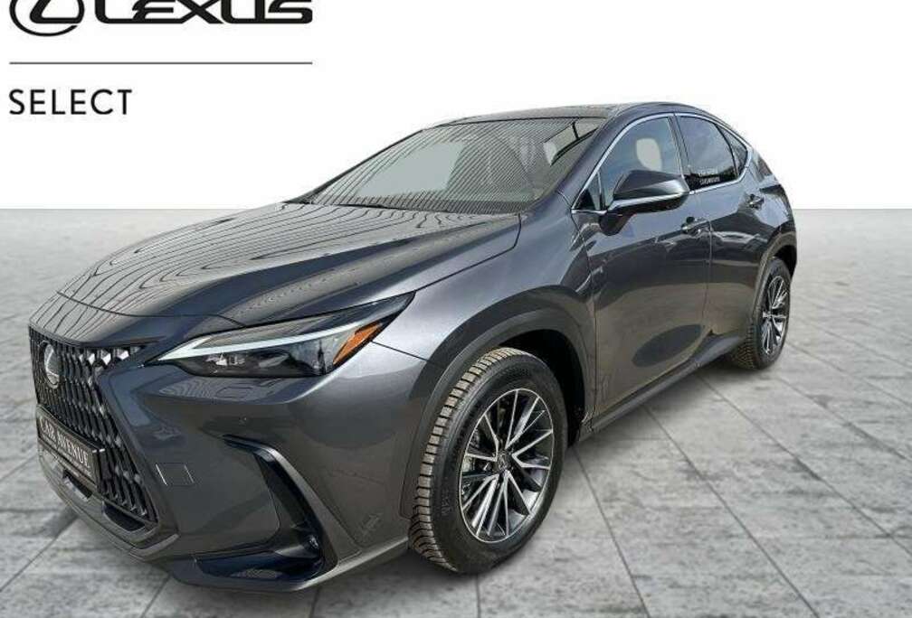 Lexus Executive Line