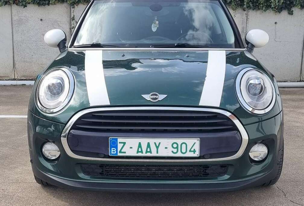MINI britisch racing green
