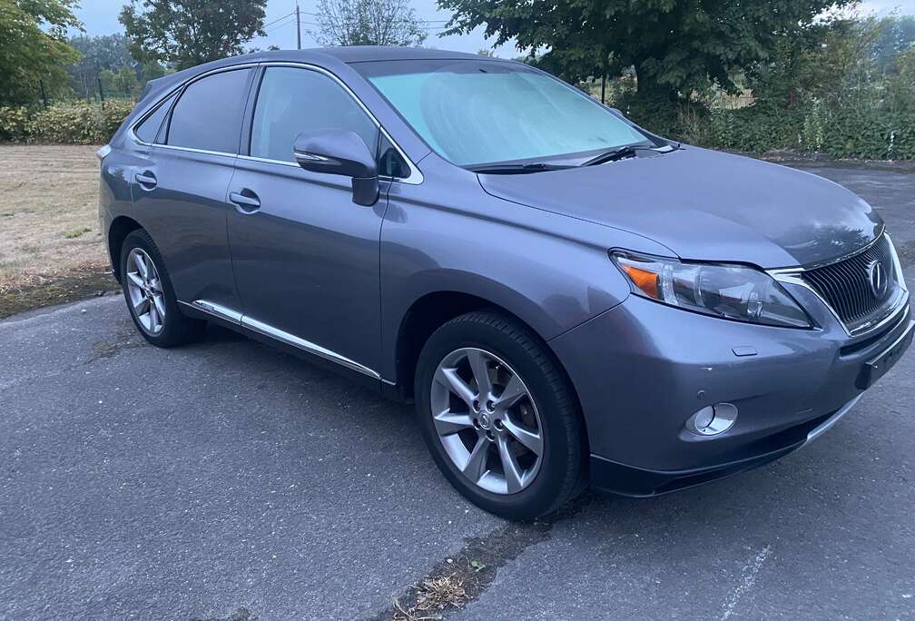 Lexus (hybrid) Ambience Line