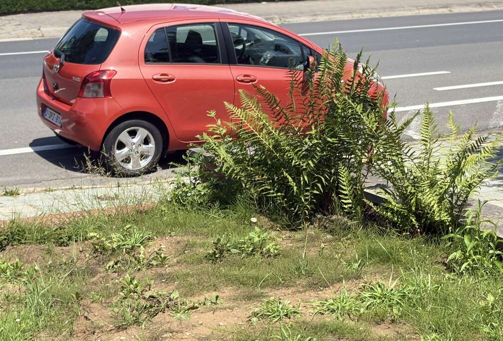 Toyota 1.3i 16v Linea Sol