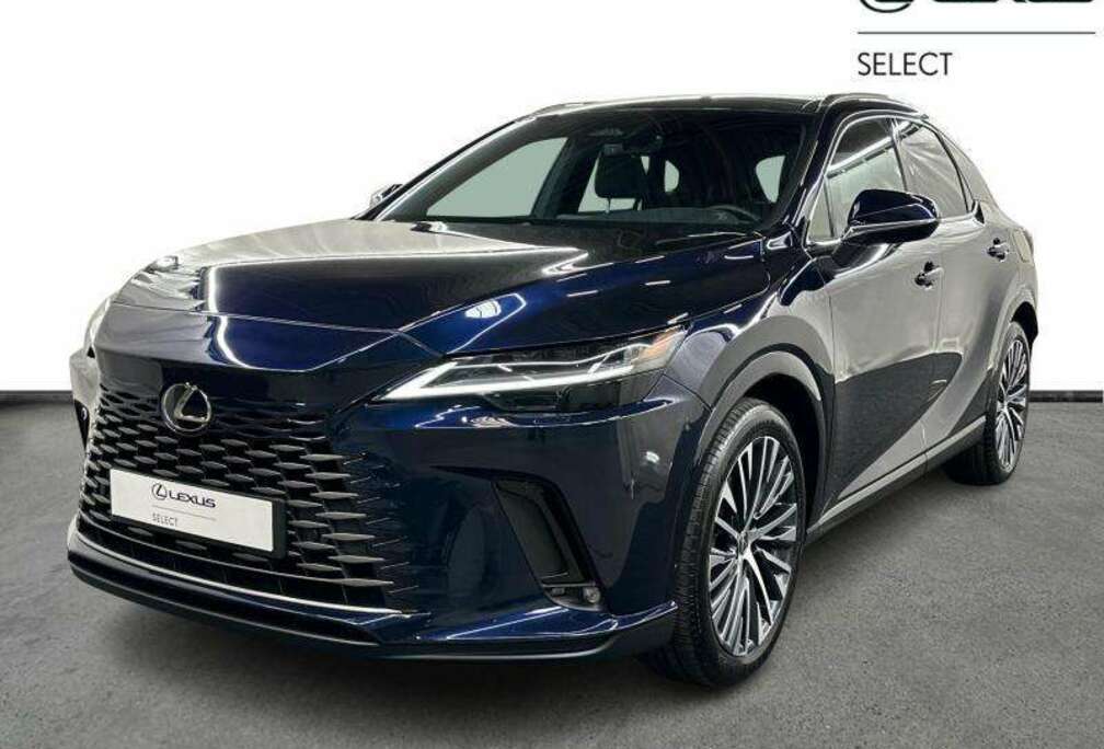 Lexus Executive + Pano