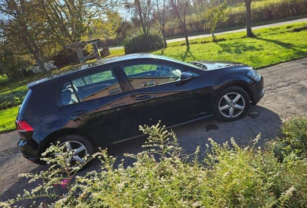 Volkswagen 1.6 CR TDi Trendline