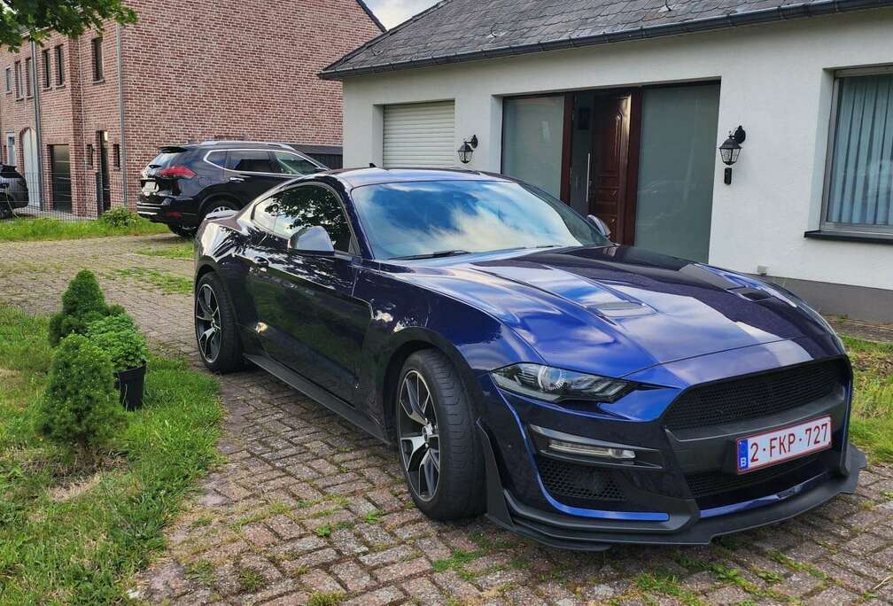 Ford 2.3 EcoBoost (EU6.2)