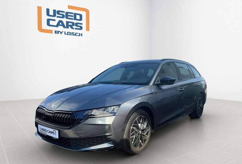 Skoda Sportline+DSG+StandH.+P.Comfort