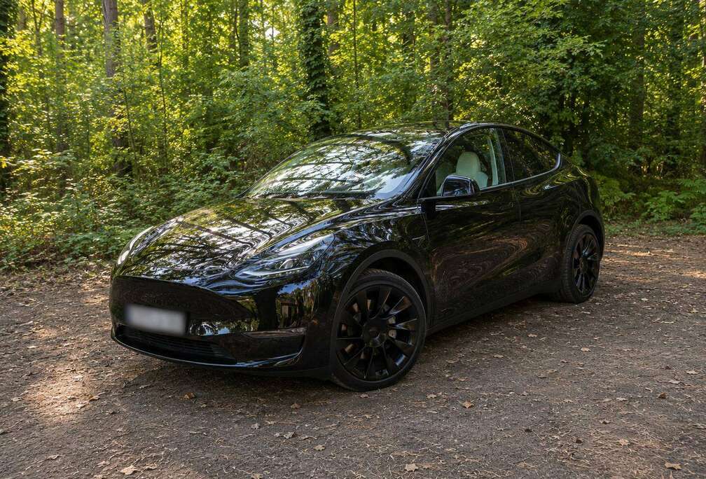 Tesla Model Y 72.5 kWh Dual Motor Performance (377 kW)
