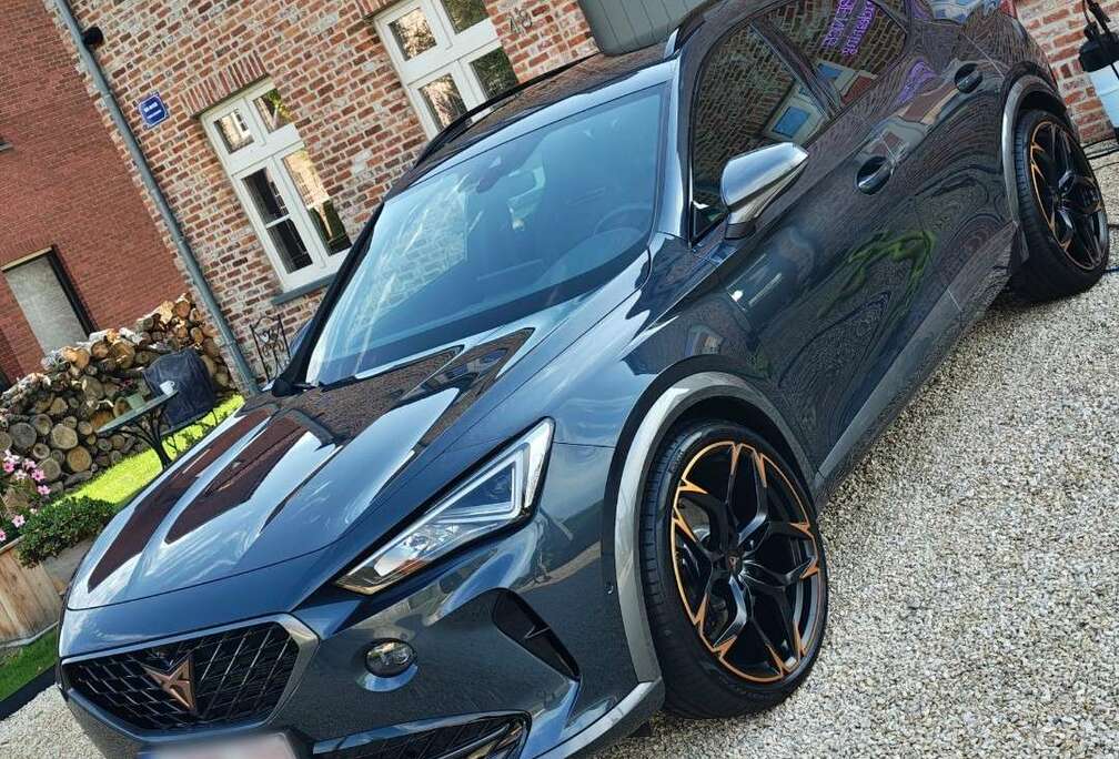 VZ 2.0 TSI 4Drive DSG