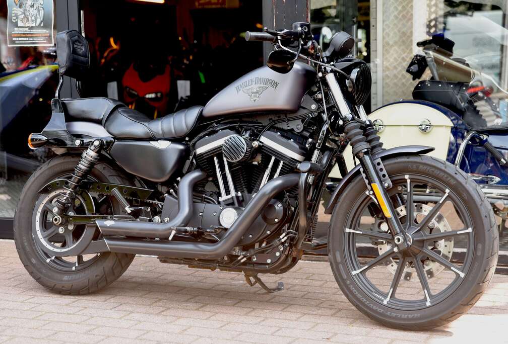 ***MOTO VERTE***