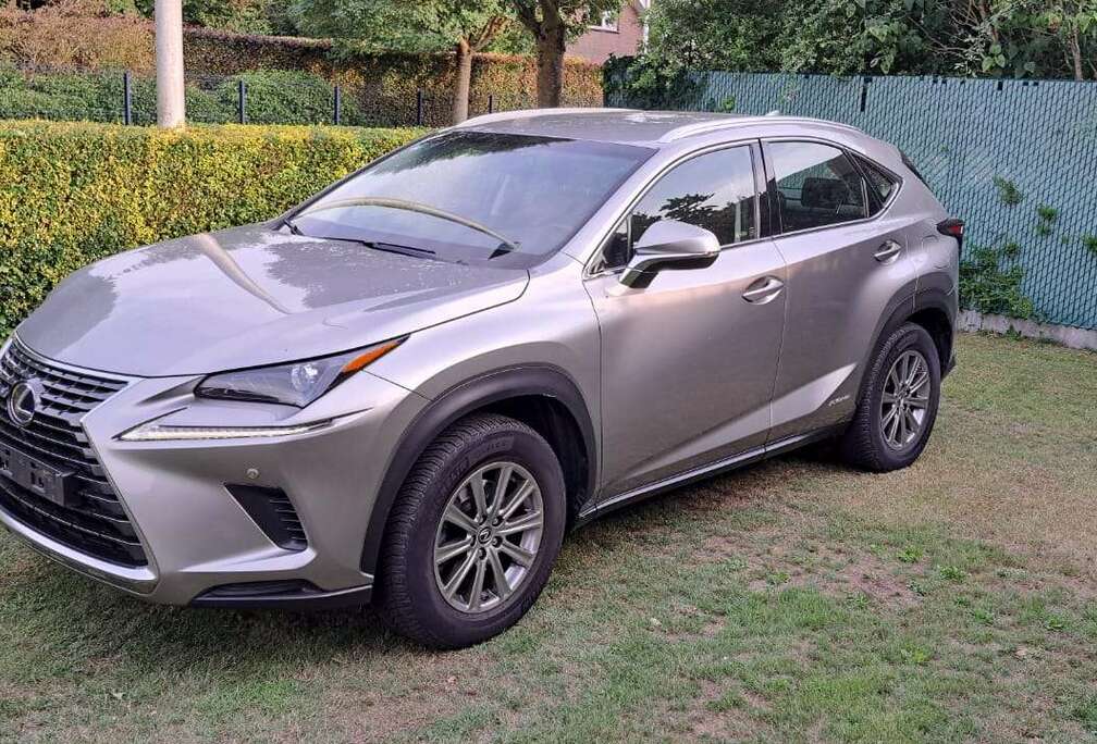 Lexus NX 300h