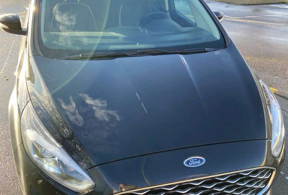 Ford 2.5 EcoBoost hybride vignale (7pl.)