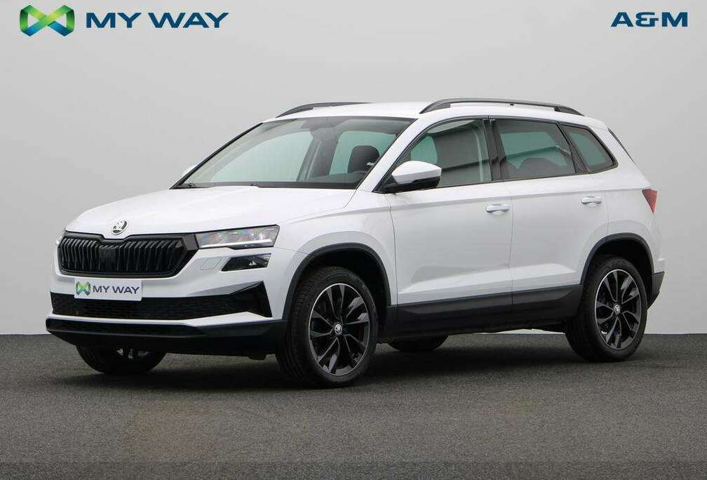 Skoda 2.0 TDI 115 PK DSG AUTOMAAT