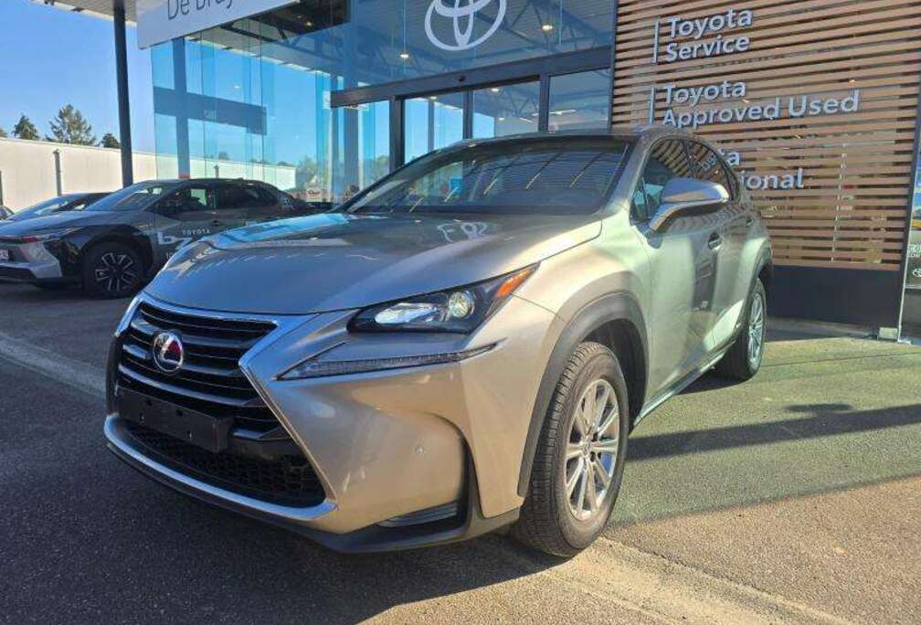 Lexus Business Edition