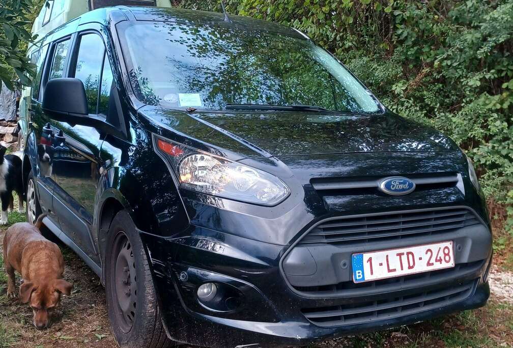 Ford 1.0 EcoBoost Ambiente (EU6)