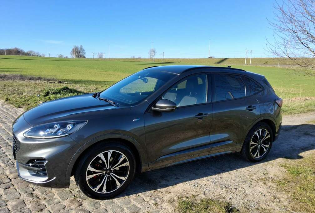 Ford 2.0 TDCi EB FWD MHEV ST-Line X (EU6d)