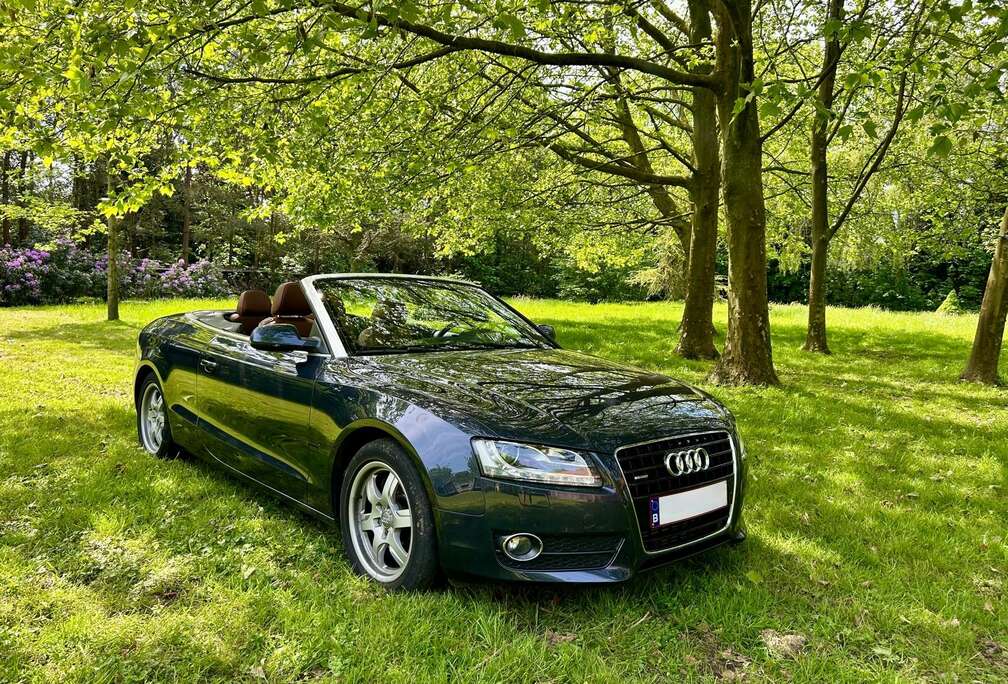 Audi Cabrio 3.0 TDI DPF quattro S tronic