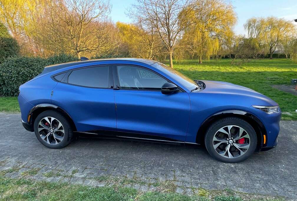 Ford Mustang Mach-E 99 kWh AWD standaard Range First Edition