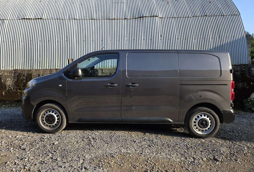 Peugeot 2.0 HDi 229 L1H1 FAP