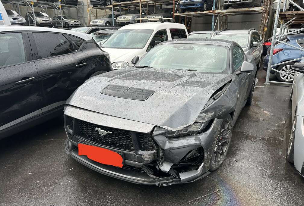 Ford 5.0 V8 GT (328 kW)