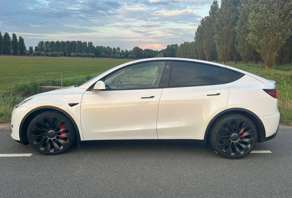 Tesla Model Y Performance AWD 75kWh Trekhaak