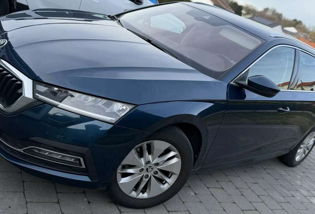 Skoda SW 1.0 TSI eTec MHE Clever DSG