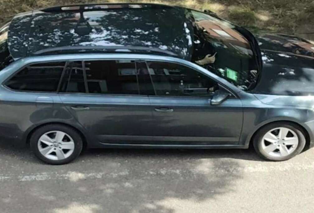 Skoda SW 1.6 CR TDi Ambition DSG