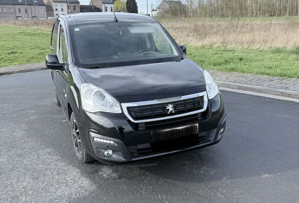 Peugeot 1.6 BlueHDi L2H1 Premium 121 S/S