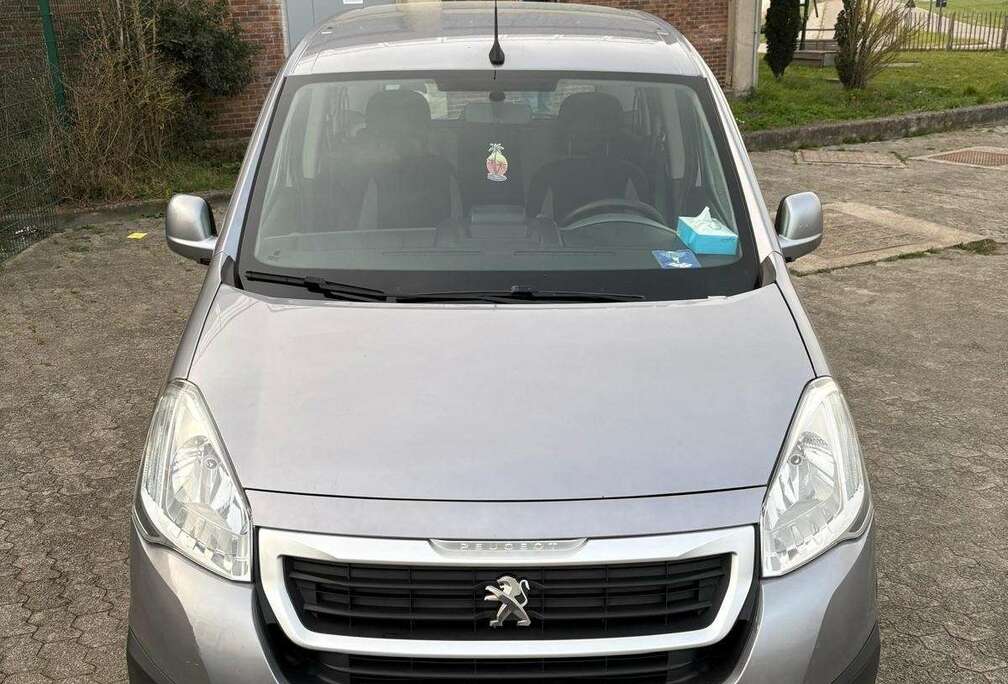 Peugeot Tepee 1.6 HDi FAP 110ch Outdoor Pack Série Spécial