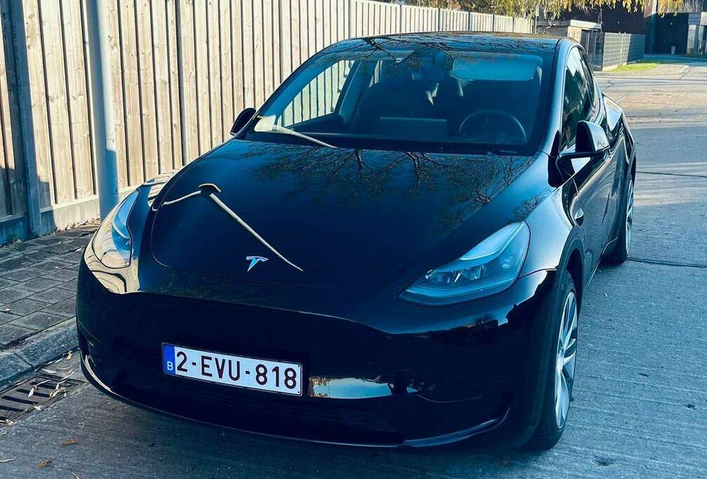 Tesla Model Y RWD