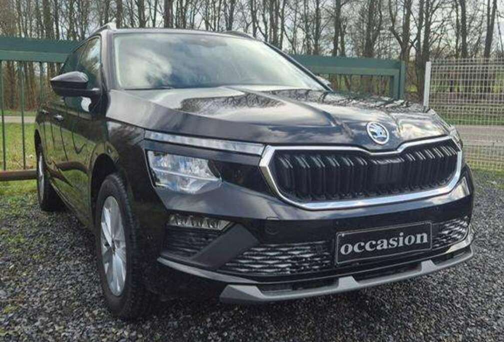 Skoda Kamiq 1.0 TSI Selection DSG