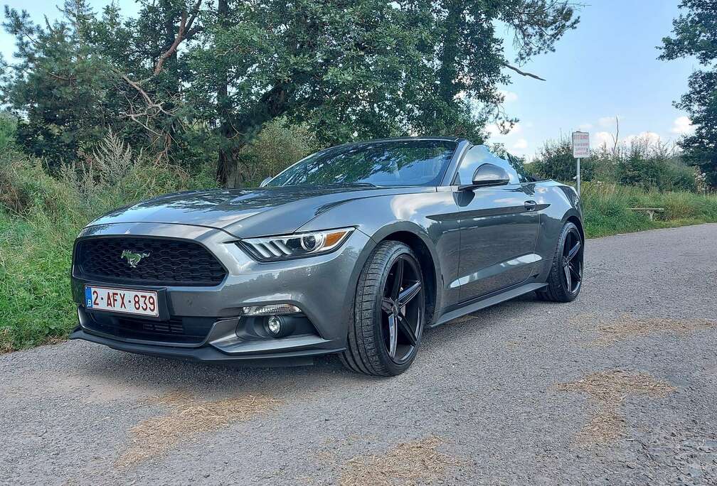 Ford Convertible 2.3 EcoBoost
