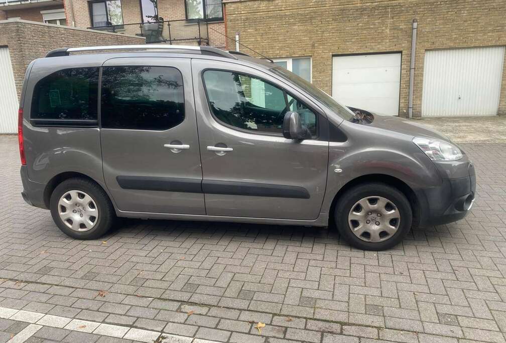 Peugeot 1.6i L1H1 Confort 120 (EU5)