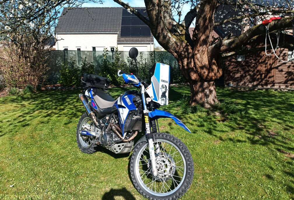 XTR