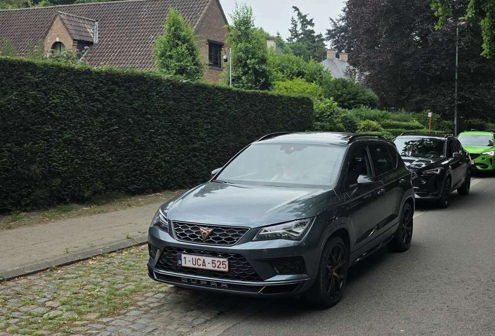 2.0 TSI 4Drive DSG (EU6.2)